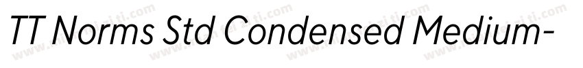 TT Norms Std Condensed Medium字体转换